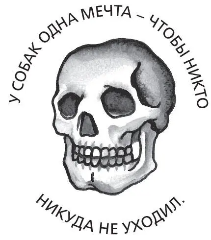 Эми Хемпель Своего ученика я спросил бы Кто это рассказывает Где Зачем и - фото 6