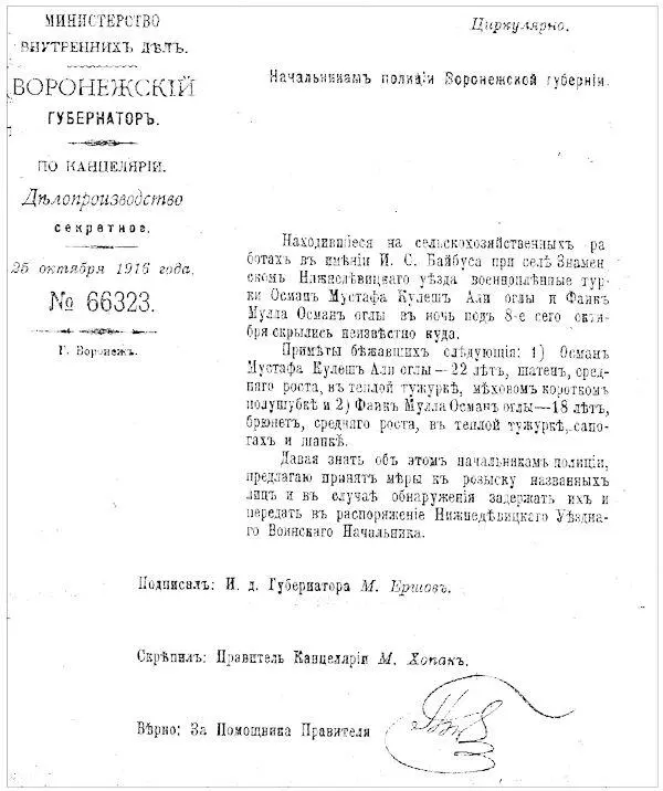 ГАВоронО Ф И6 Оп 2 Д 501 Л 3 О том насколько тщательно турки - фото 4