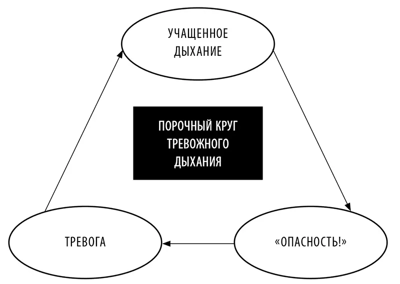 Рис 12 Порочный круг тревожного дыхания Расслабляйтесь через дыхание Чтобы - фото 50