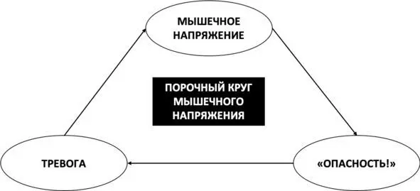 Рис 56 Порочный круг мышечного напряжения Расслабление через напряжение - фото 70