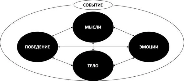 Рис 66 Взаимосвязь мыслей эмоций телесных и поведенческих реакций Мысли - фото 84