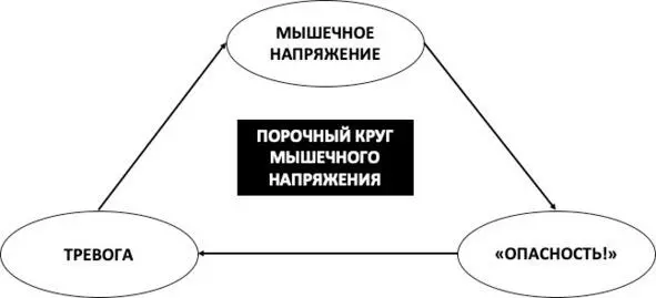 Рис 11 Порочный круг мышечного напряжения Расслабляйтесь через напряжение - фото 46