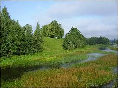 Городище Красногородок на р Синей Псковская область Россия же выступила с - фото 40