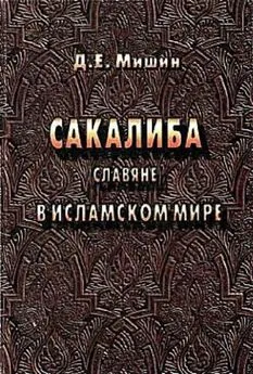 Дмитрий Мишин - Сакалиба (славяне) в исламском мире в раннее средневековье