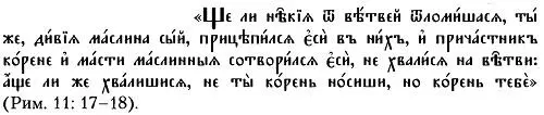 В конечном итоге великий князь Олег Рязанский пришел к выводу Аще убо - фото 22