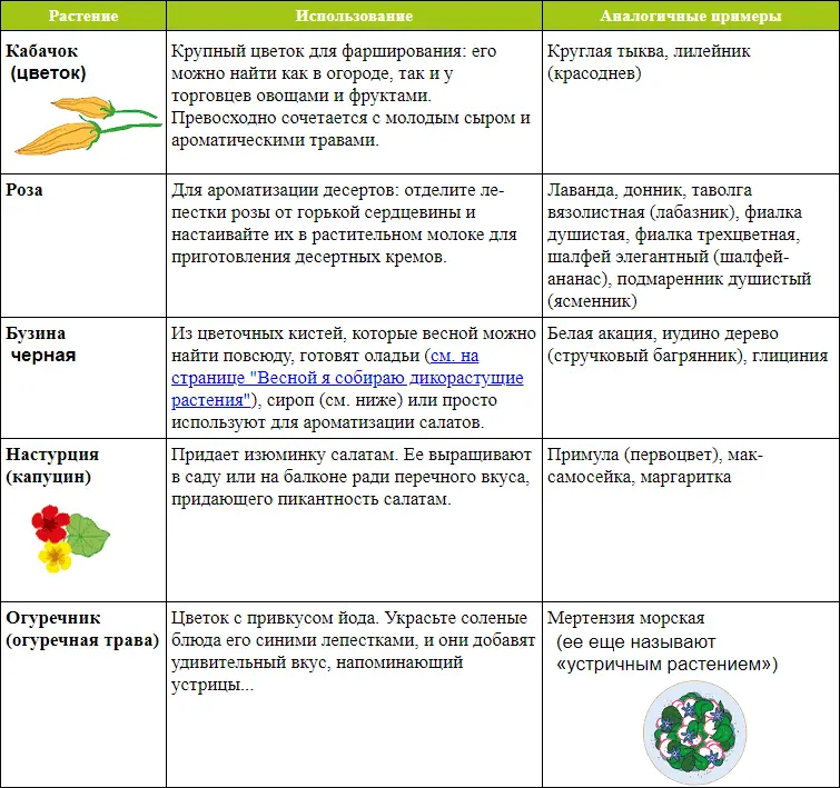 Многие цветы ядовиты Например подснежник нарцисс купена соломонова - фото 226