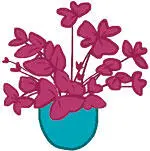 Кислица с фиолетовыми листиками похожими на бабочек Для создания эффекта - фото 245