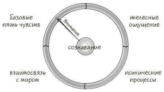 Эта практика позволяет расширить сознавание и емкость сознания Отличная - фото 2