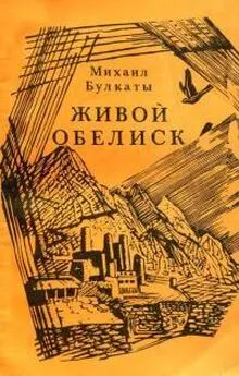 Михаил Булкаты - Живой обелиск