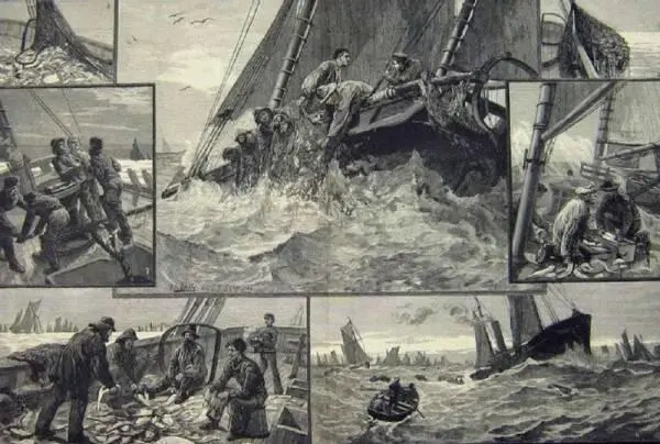 Северное море 55 сш 3 в д ноября 1878 г Доггербанка название - фото 56