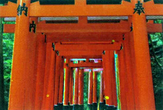 Тории ворота на пути в святилище Фусими Инари тайся Святилище Исоноками - фото 13