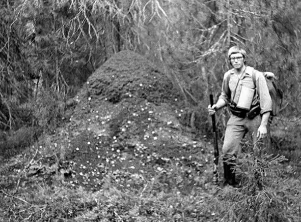 Вот это муравейник ПечороИлычский заповедник 1978 год Дятлы селятся в - фото 136