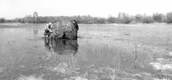Вода поднялась Переносят шалаш М Фокин слева Вообщето шалаш может быть - фото 95