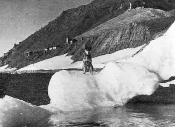 Каждое утро охотник подходит к морю и вглядывается в даль то свирепую то - фото 5