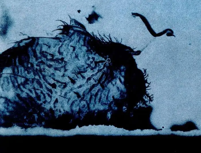 Удильщик Antennarius ocellatus Эта маленькая тропическая рыбка прячась среди - фото 48