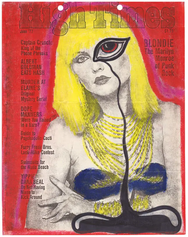 Сердце из стекла Откровения солистки Blondie - фото 18
