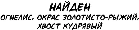 Хотелось нарисовать Уголька таким какой он есть когда притворяется паинькой - фото 18