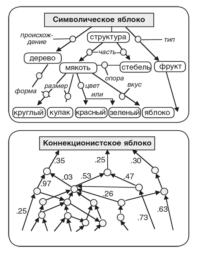 На схеме сверху изображена семантическая сеть которая описывает различные - фото 133
