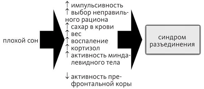 Сон и зависимость Учитывая сказанное о влиянии сна на мозг не стоит - фото 12