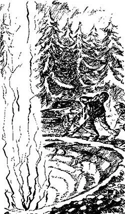 Звякнула ложечка Хороший кофе похвалил Диомидов А ты значит стала - фото 3
