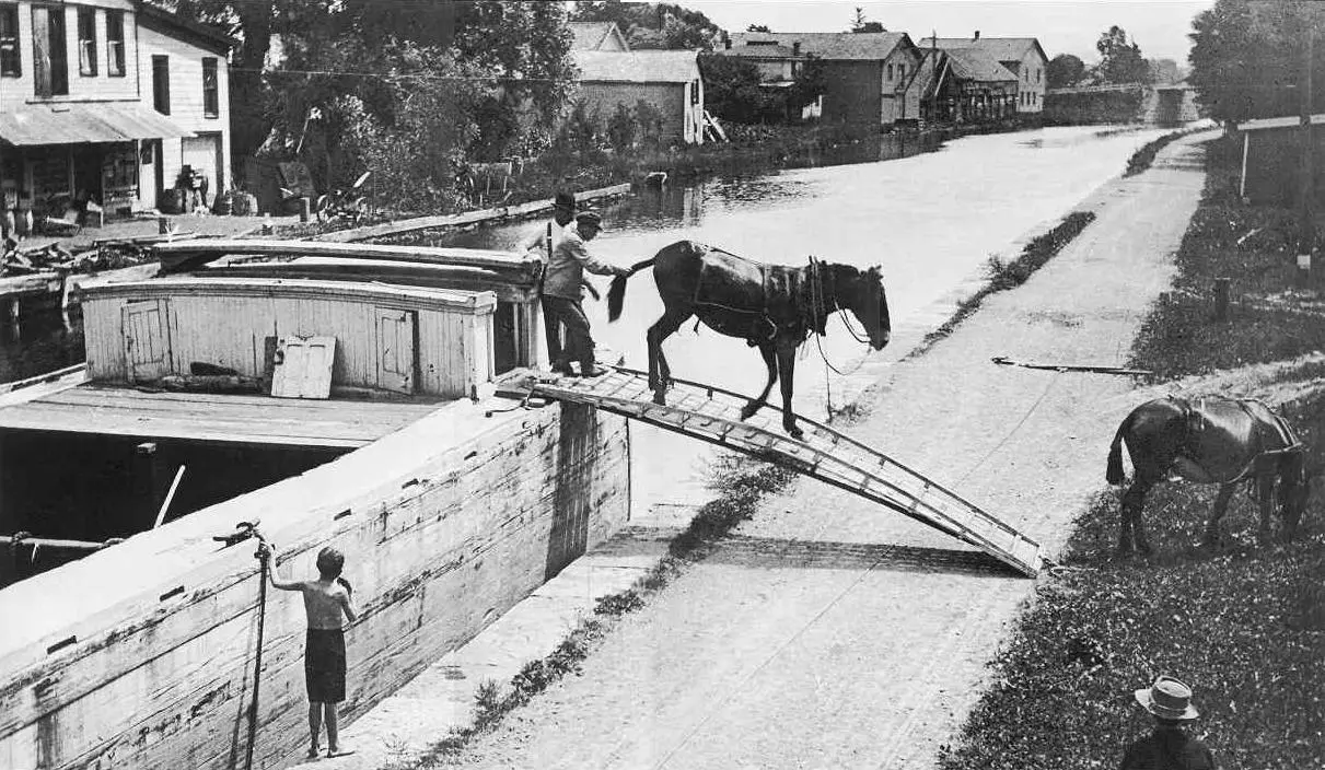 Замена мулов На этой фотографии снятой в конце XIX века все то же самое чем - фото 29
