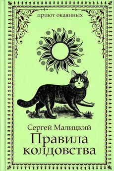 Сергей Малицкий - Правила колдовства [СИ litres]