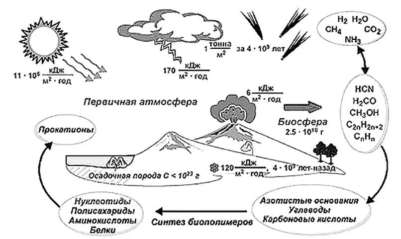 Схематическое изображение теории биохимической эволюции И что же произошло Под - фото 22