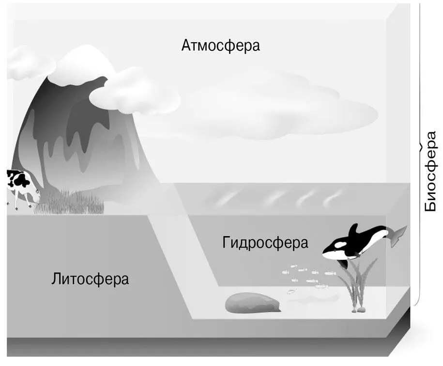 Границы биосферы Глава шестая Каталог строительных материалов или - фото 40