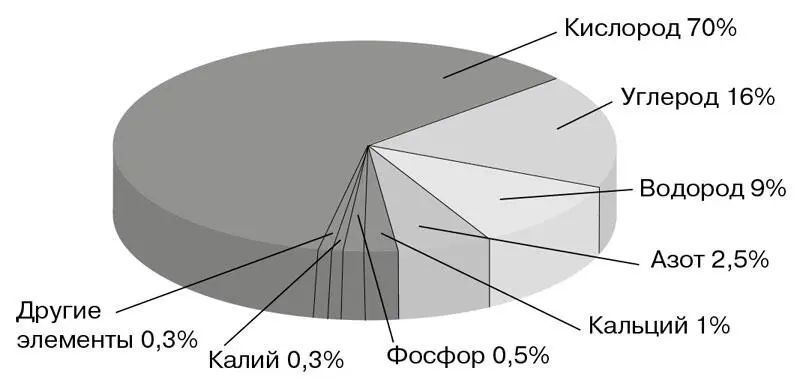 Содержание химических элементов в клетке Кроме воды в клетках содержатся - фото 41