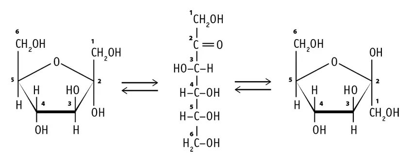 Подобно глюкозе фруктоза также является мономером многих олигосахаридов и - фото 45