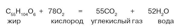 При окислении 1 кг жира выделяется около 11 кг воды Способность жиров - фото 54