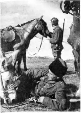 Казаки на службе в СС Восточный фронт лето 1944 г Повышение по службе - фото 49