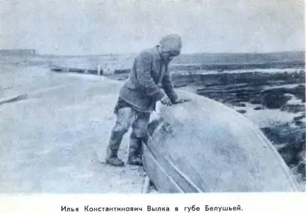 Илья Константинович Вылка в губе Белушьей Вылка был так поражен неожиданной - фото 33