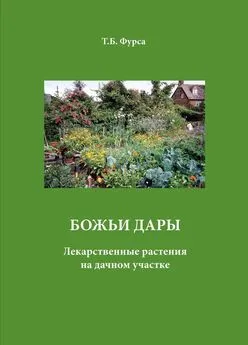 Татьяна Фурса - Божьи дары. Лекарственные растения на дачном участке