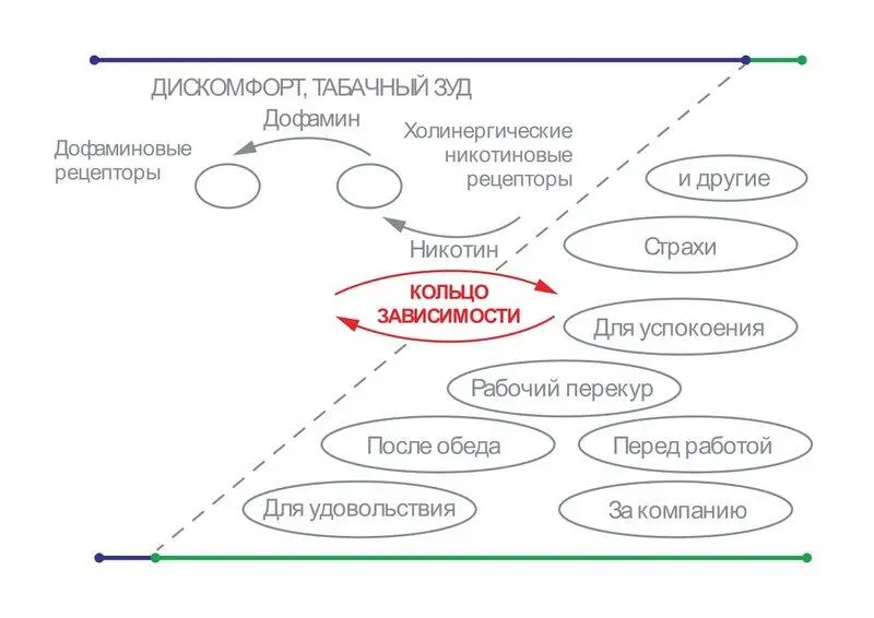 Мы нарисовали нечто похоже на перечеркнутую букву Z прямо как у славного - фото 7