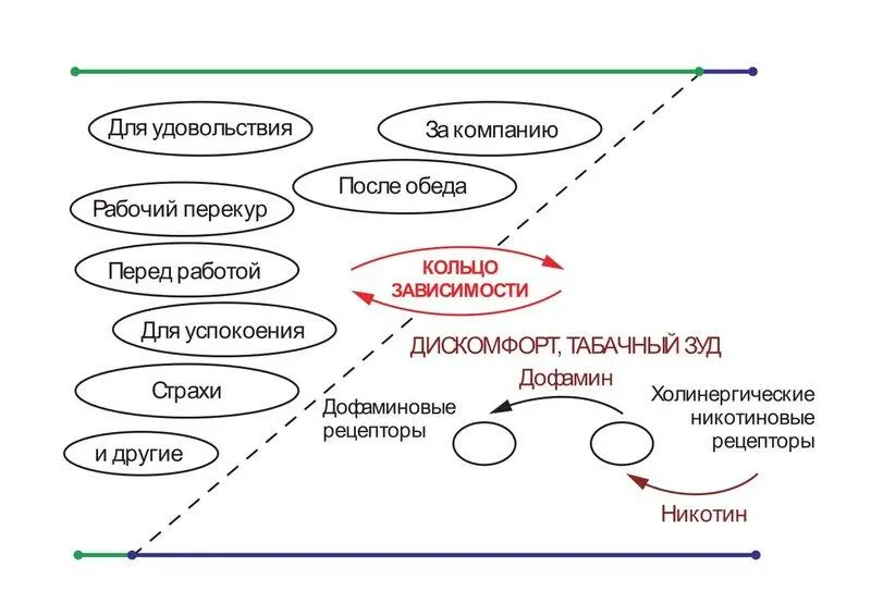 Теперь сверху слева направо дорисовываем рыжую стрелку А на месте смычки - фото 8