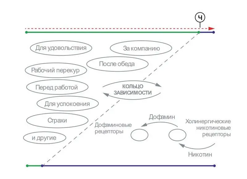Обозначения Рыжая пунктирная стрелка это направление и последовательность - фото 9