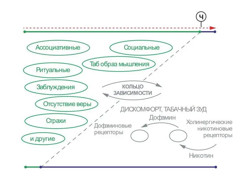 Вот она красавица прямо как руководство к действию Но теперь мы узнали - фото 10