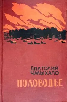 Анатолий Чмыхало - Половодье. Книга вторая