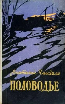 Анатолий Чмыхало - Половодье. Книга первая