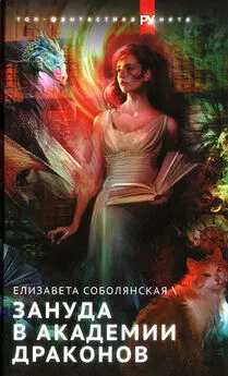 Елизавета Соболянская - Зануда в Академии Драконов