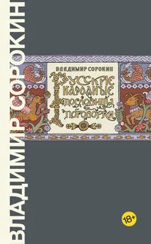 Владимир Сорокин - Русские народные пословицы и поговорки [litres]