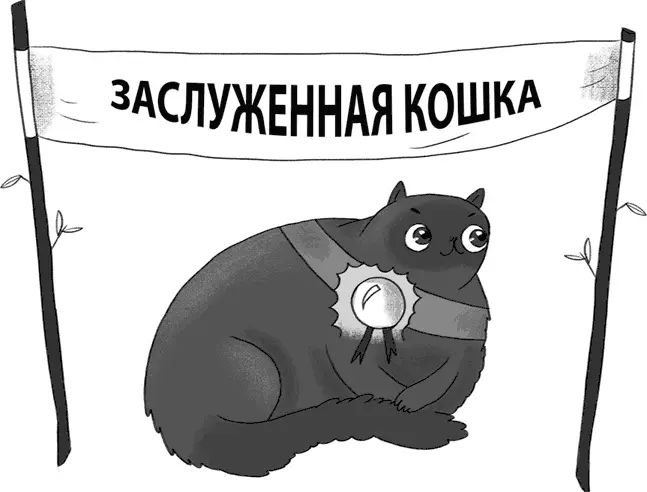 Помимо охотничьих навыков пошедшим человечеству на благо у кошек есть и - фото 37