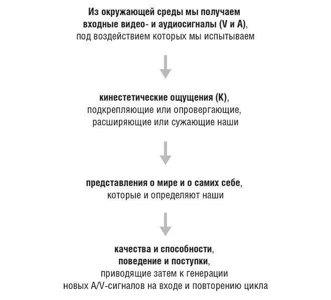 Рисунок 62Структурная схема формирования эмпирического человеческого опыта - фото 18