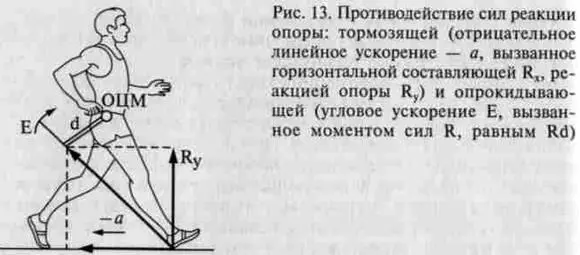 Рис 13 Противодействие сил реакции опоры тормозящей отрицательное линейное - фото 13