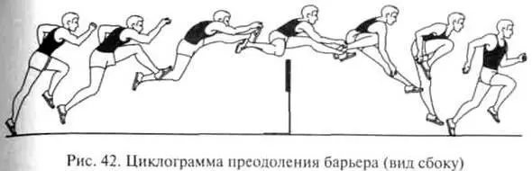 Рис 42 Циклограмма преодоления барьера вид сбоку Бег по дистанции - фото 42