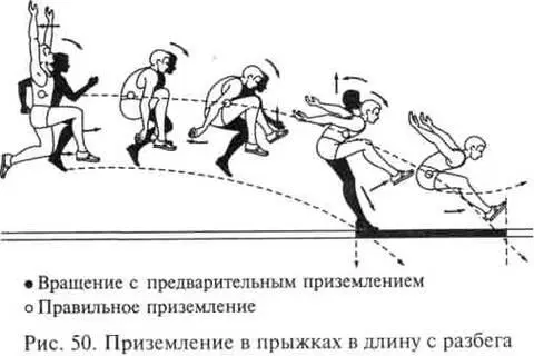 Рис 50 Приземление в прыжках в длину с разбега После соприкосновения стоп - фото 50