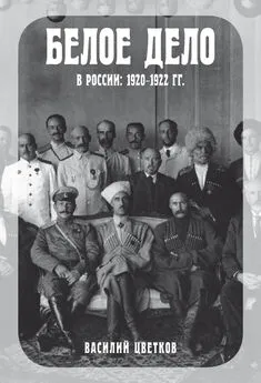 Василий Цветков - Белое дело в России, 1920–1922 гг.