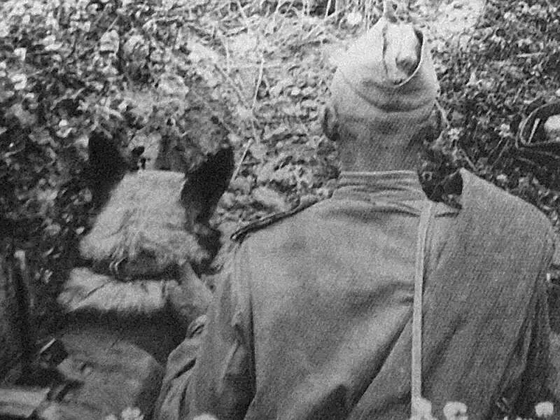 Собакаподрывник сейчас будет взорван вражеский танк Всего в ходе - фото 10