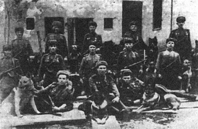 Противотанковое подразделение с собакамиподрывниками в 1943 году О действиях - фото 11
